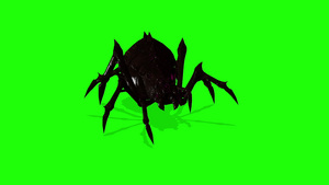 绿色屏幕上的蜘蛛动画令人毛骨悚然18秒视频