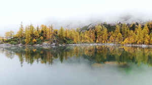 航拍高原海子湖泊云雾缭绕的秋色40秒视频