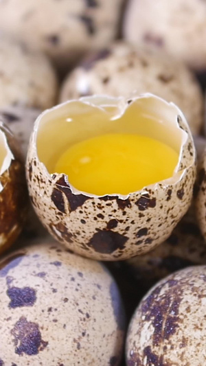 鹌鹑蛋有机鹌鹑蛋42秒视频