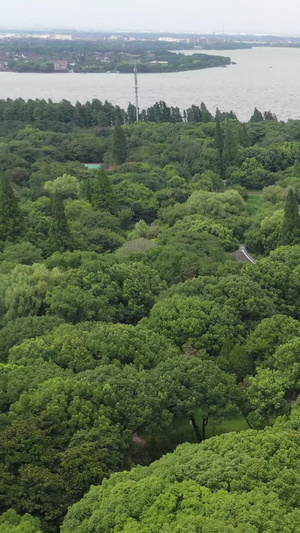 上海大观园航拍视频上海旅游29秒视频