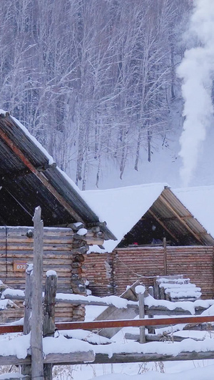 航拍冬季轻烟袅袅的村庄26秒视频