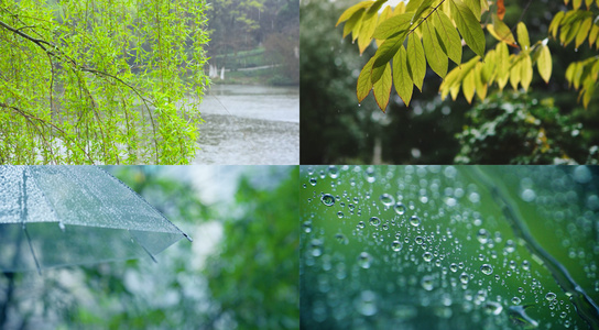 春雨空镜合集视频