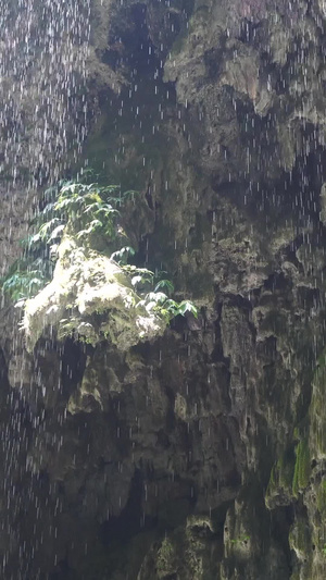 国家5A级旅游景区重庆黑山谷鹰爪岩特写钟乳石24秒视频