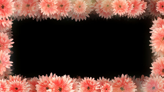 4k粉红花朵唯美边框视频