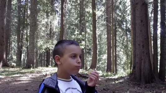 饿着肚子的男孩在森林野餐时热切地吃薯片慢动作视频