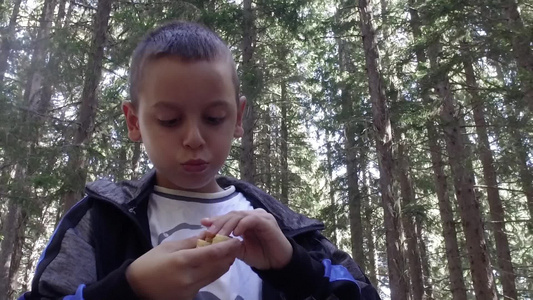 小男孩在山林野餐上热切地吃薯片兴奋极了慢动作视频