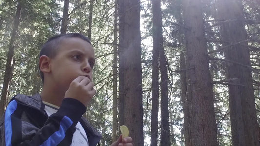饿不饱肚子的男孩吃薯片热切地慢动作视频