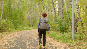 秋林中背着背包走路的儿童17秒视频