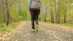 在森林中行走的背着背包的男孩16秒视频
