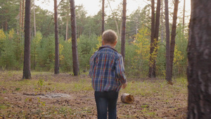 少年在美丽的森林中奔跑7秒视频