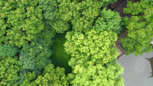 古老传统花园苏州花园中视频