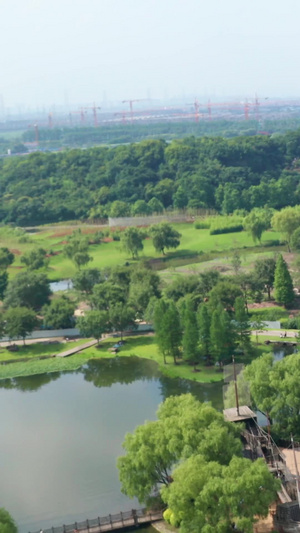 【旅游宣传片】上海航拍植物园合集上海城市宣传片90秒视频