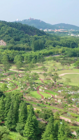 【旅游宣传片】上海航拍植物园合集辰山植物园90秒视频