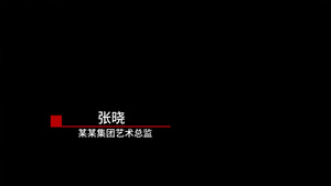 简约人名条pr模板15秒视频