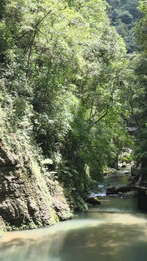 航拍国家5A级旅游景区重庆黑山谷峡谷溪流鱼跳峡24秒视频
