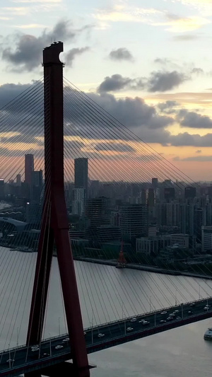 上海杨浦大桥日落航拍延时金融区8秒视频