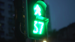 4k城市雨中的交通信号灯22秒视频
