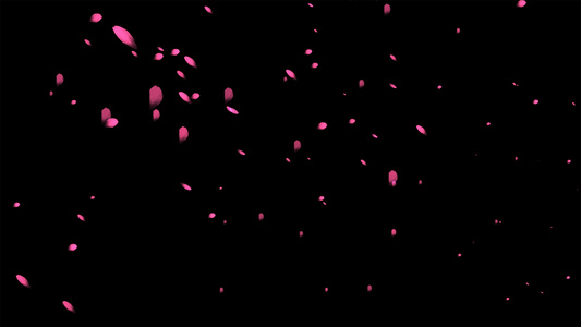 4K花瓣飞舞粒子元素带透明度通道视频