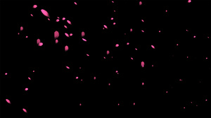 4K花瓣飞舞粒子元素带透明度通道20秒视频
