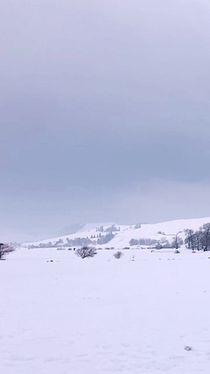 新疆5A景区那拉提大草原雪景自然风光64秒视频