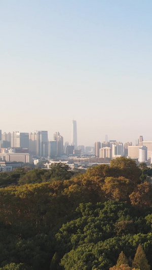 航拍武汉大学樱顶老建筑群秋天校园地标素材城市素材65秒视频