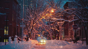 温馨雪夜街道灯光树背景60秒视频
