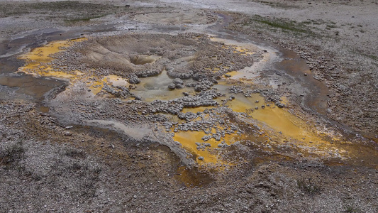 藻类细菌垫黄石国家公园的温泉温泉池美国怀俄明州视频