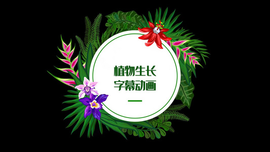 植物生长字幕透明视频素材视频