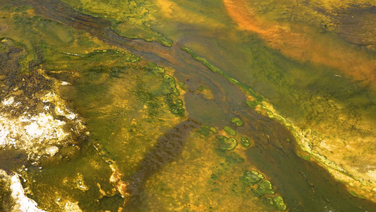 藻类细菌垫黄石国家公园的温泉温泉池美国怀俄明州视频