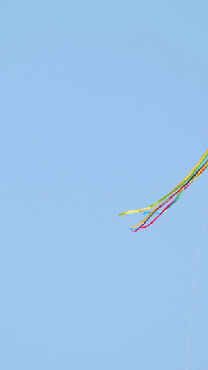 春天蓝天下的各种各样的风筝春天来了46秒视频
