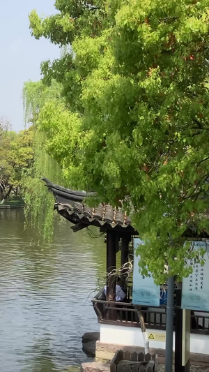宁波月湖公园泛舟踏春76秒视频