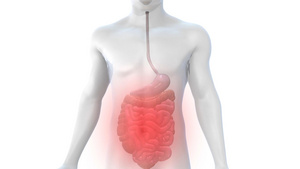 3D人体结构肠胃炎医疗模型15秒视频