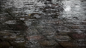 4k实拍唯美意境下雨天下雨视频雨滴雨水城市下雨自然风26秒视频