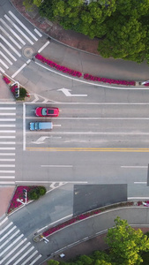 航拍风光城市俯拍交通道路斑马线十字路口行人车辆素材城市素材视频