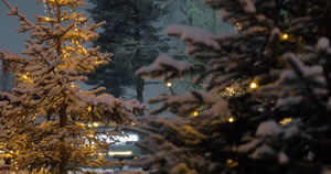 晚上公园有圣诞灯的松树21秒视频
