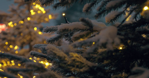 有彩灯的圣诞树28秒视频