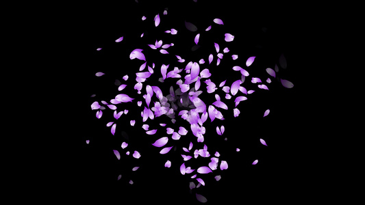 紫色环绕扩散粒子花瓣视频