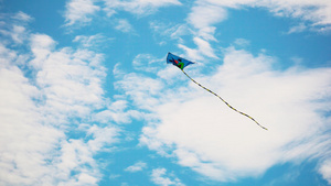 4K实拍天空蓝天下放飞的风筝视频素材30秒视频