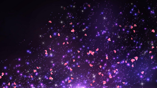 动态大气唯美粒子星光花瓣飘动背景视频元素视频