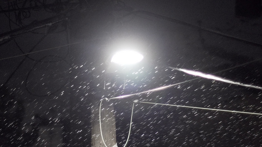 街道下深夜的浓密雪花与电线通热带光照射着灯光视频