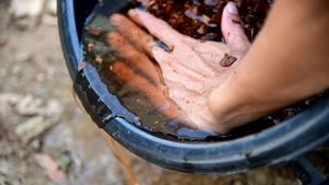 浸泡椰子皮之后倒水13秒视频