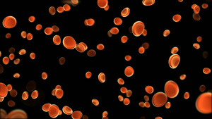 透明通道血小板红细胞视频素材30秒视频