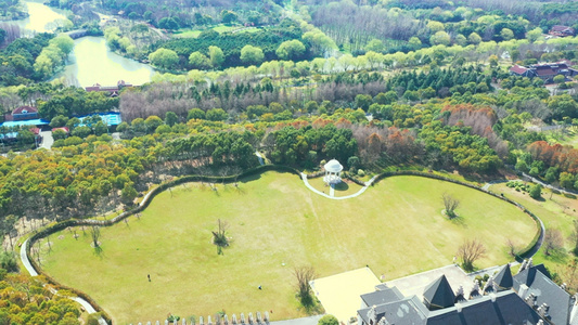 顾村公园春天景色视频