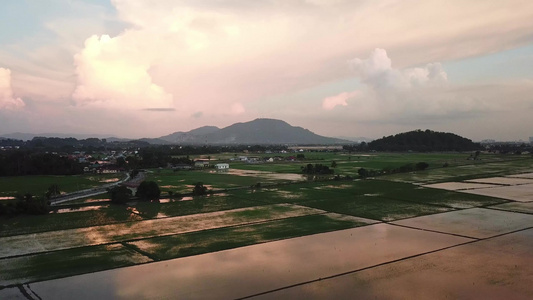 马雷村附近的稻田空中飞翔视频