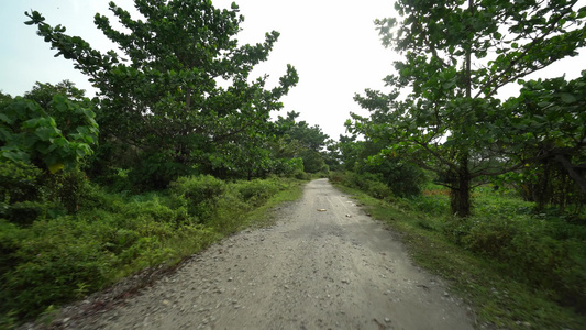 在农村公路上移动视频