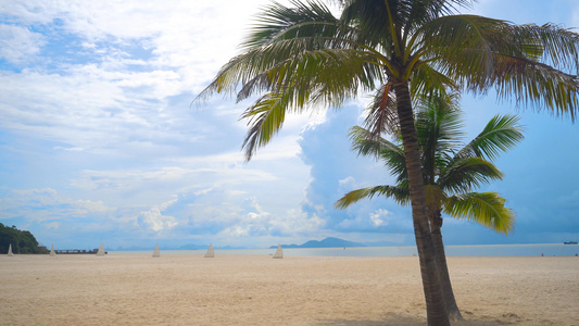 蓝天白云沙滩椰子树视频