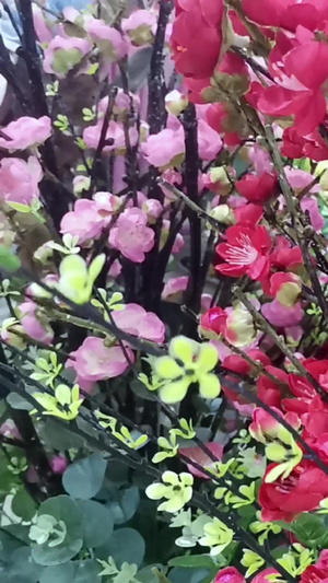 假花腊梅花百花盛开25秒视频