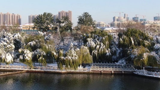 冬天雪景航拍视频