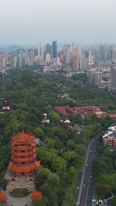 航拍绿荫环绕的武汉旅游地标城市风光著名景点黄鹤楼风光城市视频