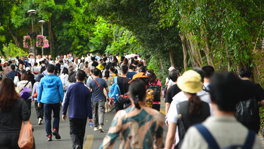 深圳仙湖植物园的游客4K视频